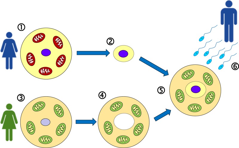 Figure 20