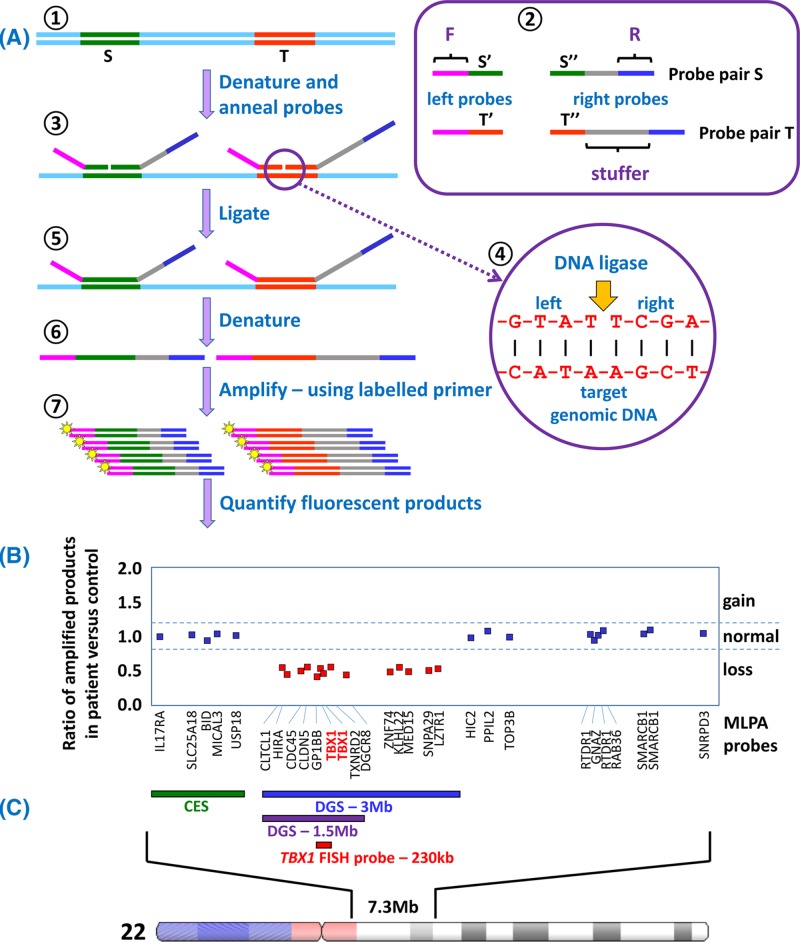 Figure 41