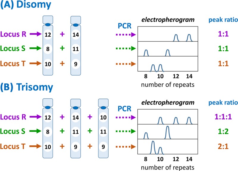 Figure 43