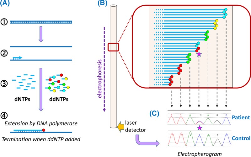 Figure 42