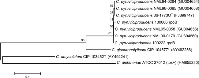 FIG 2