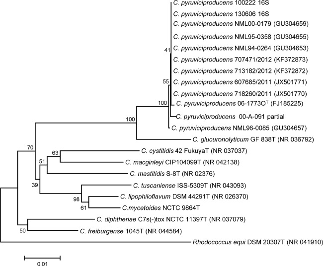 FIG 1