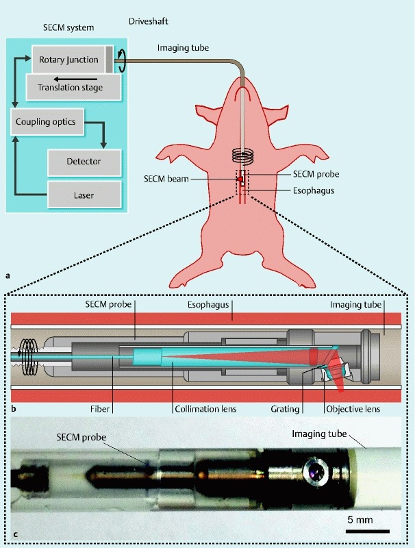 Fig. 1