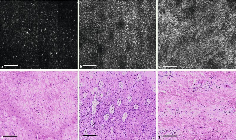 Fig. 3