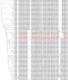 Shown here are 100 unique α-TNFα nanobodies derived from an alpaca and a llama immunized with active, trimeric human TNFα. Amino acid sequences were aligned and grouped based on CDR similarity and overall sequence identity. A phylogenetic tree was constructed using BioPython and visualized through iTOL to illustrate sequence divergence and relatedness. The three nanobodies with the strongest TNFα inhibitory activity, as determined in functional assays, are indicated in red.
