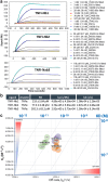 A multi-panel figure presenting the kinetics of TNFα binding to three nanobodies (TNFI-Nb1, TNFI-Nb2, and TNFI-Nb3) immobilized on Carboxyl sensors. (a) A sensor gram with overlaid fitted curves illustrating TNFα binding responses across different concentrations, showing specific and dose-dependent interactions. Colored lines represent raw data, while black curves indicate fitted 1:1 binding model result. (b) A bar graph summarizing the average kinetic parameters (association and dissociation rates, affinity constants) from three or four independent experiments, with error bars representing the standard error of the mean. (c) A two-dimensional iso-affinity kinetic plot where individual data points (circles) represent kinetic values from independent experiments. Diagonal lines indicate equilibrium binding constants to facilitate visualization of affinity distribution, with mean values labeled in bold.