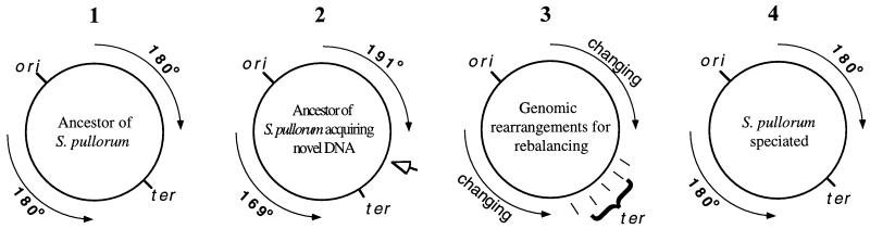 FIG. 4.