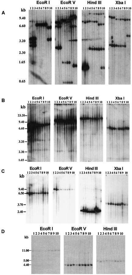 FIG. 1.