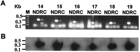 FIG. 7.