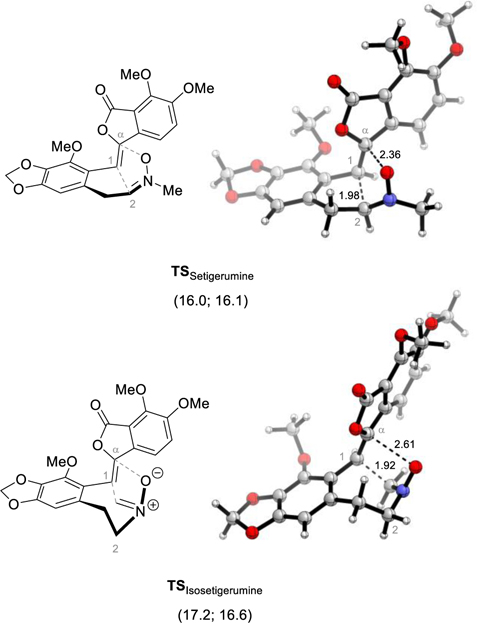 Figure 2:
