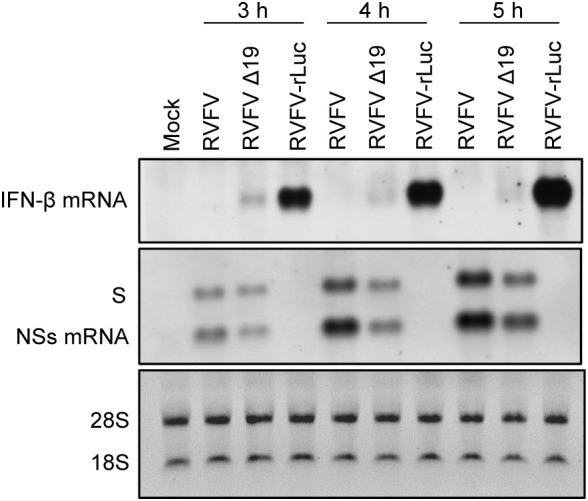 Figure 6