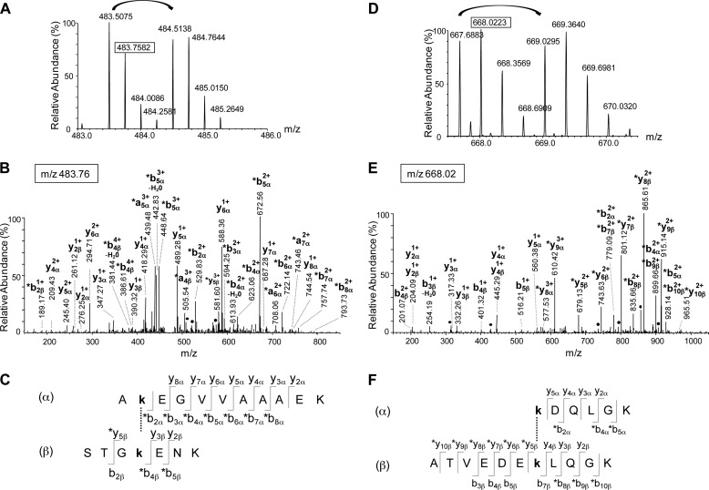 FIGURE 4.