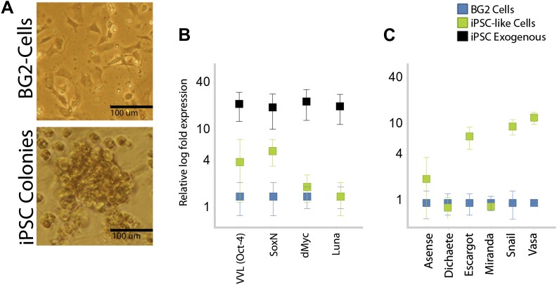 Figure 3—figure supplement 3.