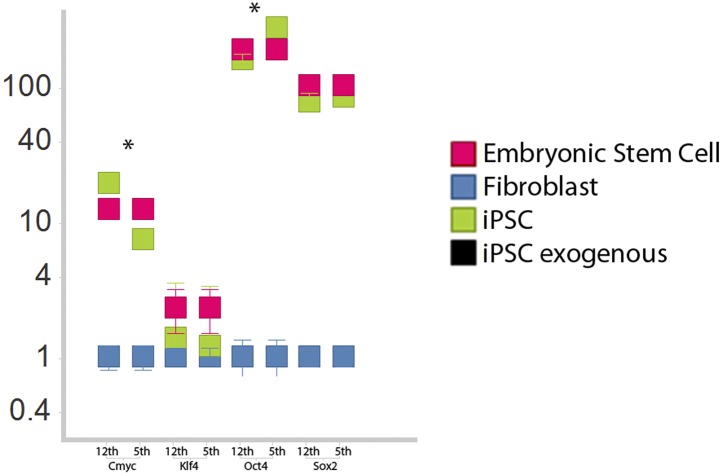 Figure 3—figure supplement 1.