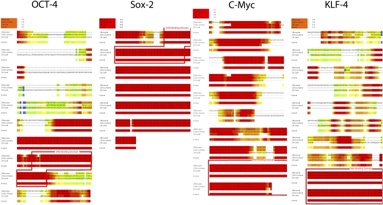 Figure 1—figure supplement 2.