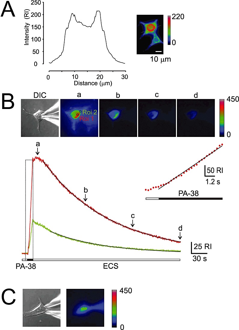 Figure 9