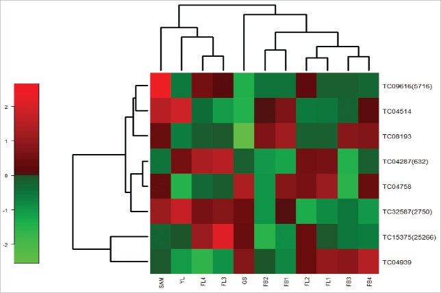 Figure 7.