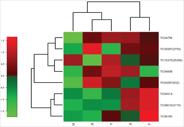 Figure 6.