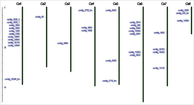 Figure 5.