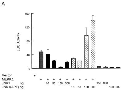 FIG. 7