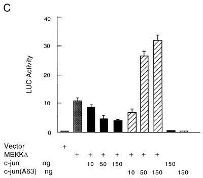 FIG. 7