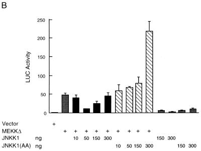 FIG. 7