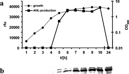 FIG. 5.