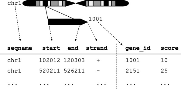 Fig. 1