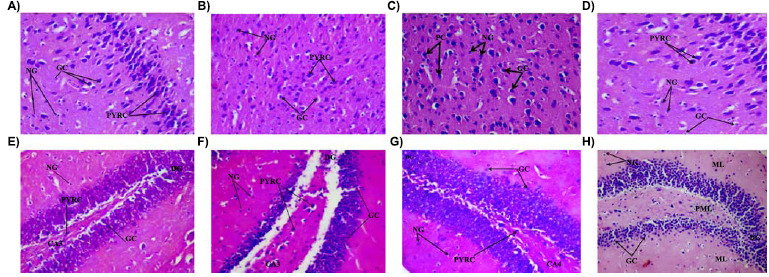 Fig. (6)