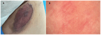 Figure 1 :