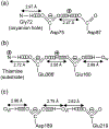 Scheme 2.