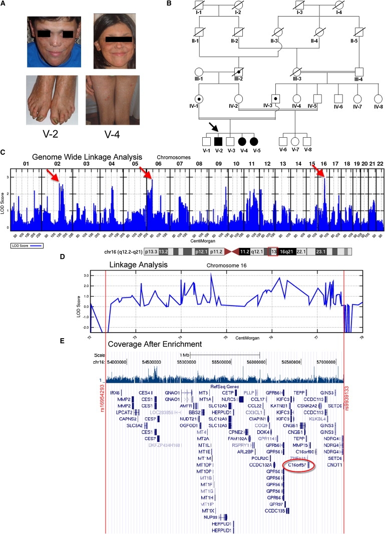 Figure 1