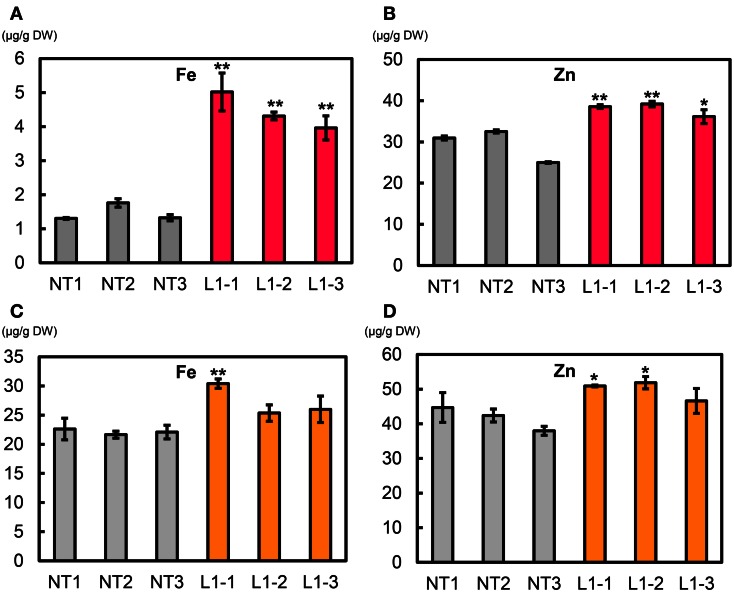 Figure 10