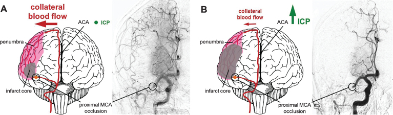 Fig.1