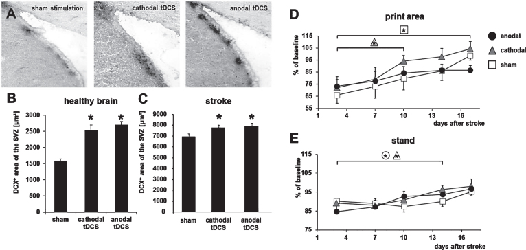 Fig.4