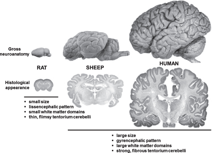 Fig.2