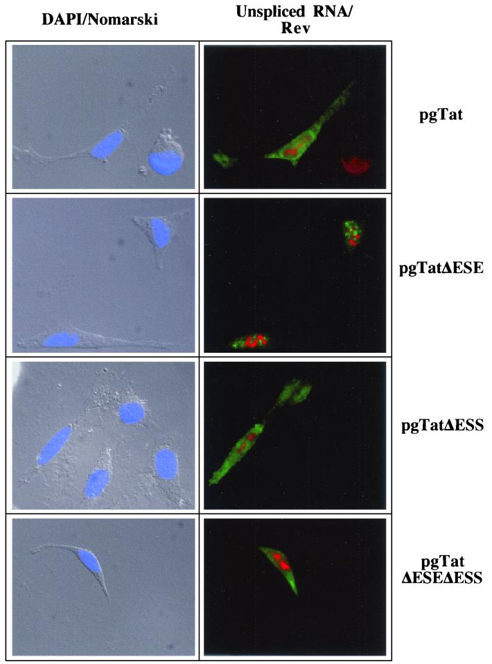 FIG. 9.