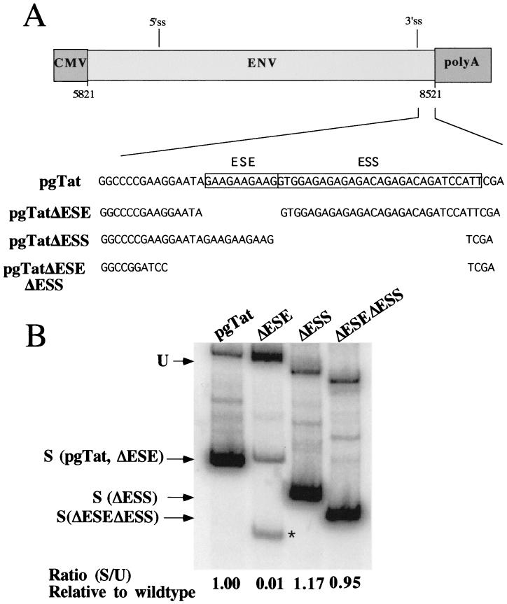 FIG. 6.