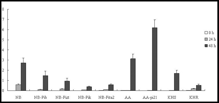 Figure 5. 