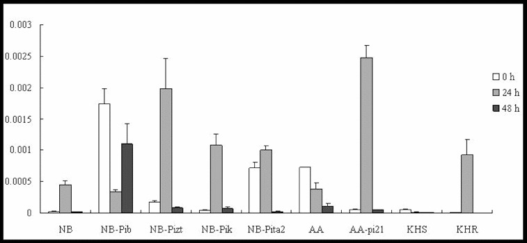 Figure 3. 