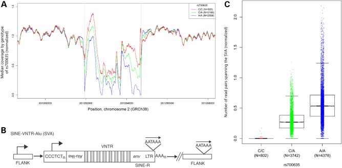 Figure 2.