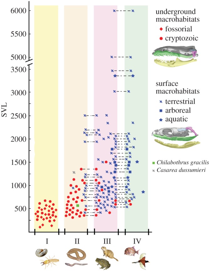 Figure 5.