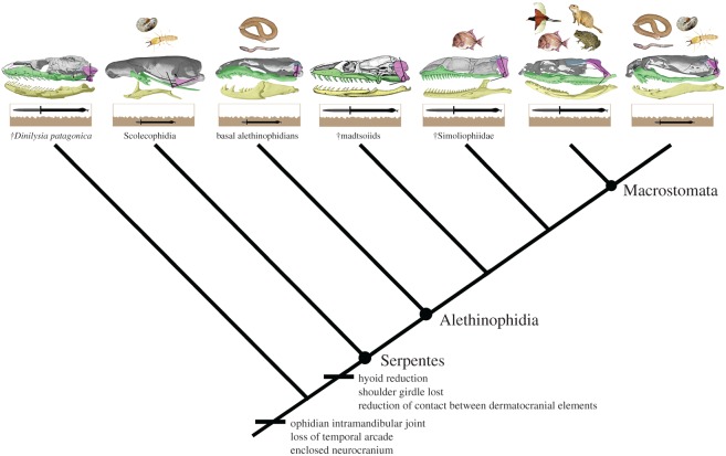 Figure 6.