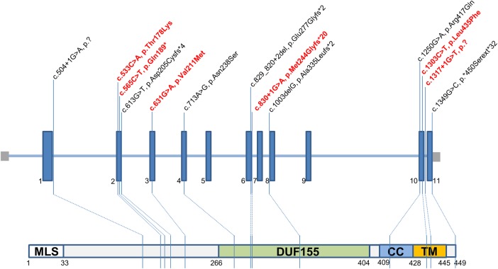 Figure 3