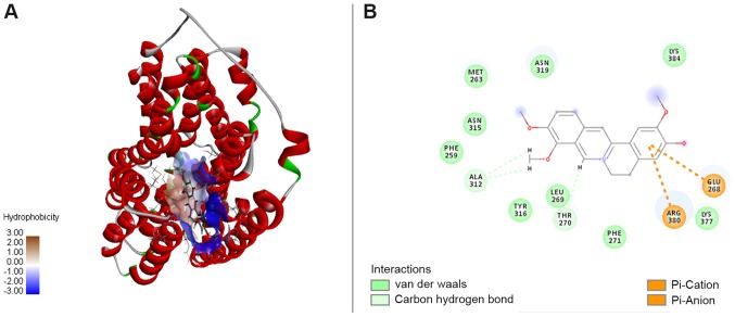 Figure 5.