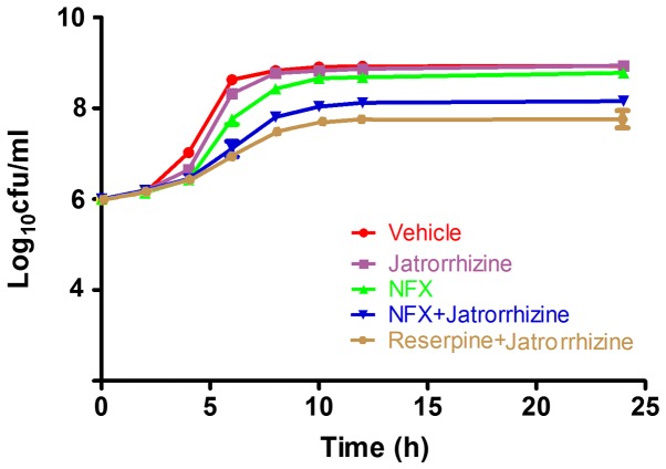 Figure 2.