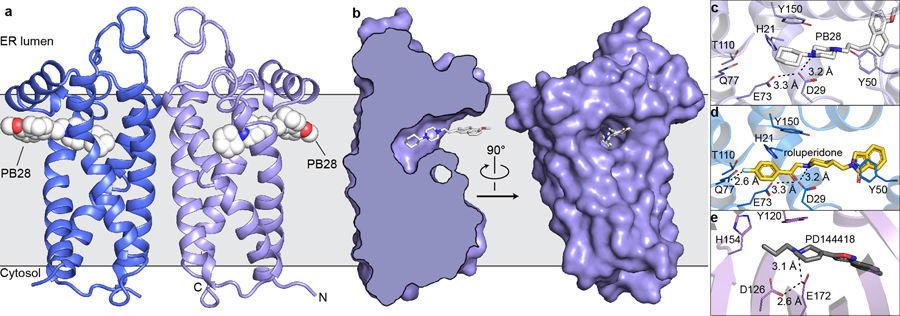 Figure 1 |