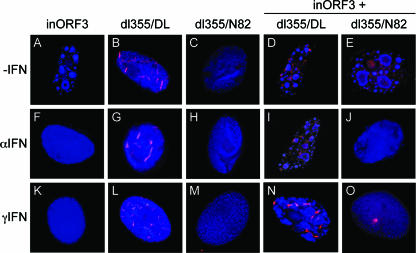 FIG. 7.