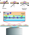 Fig. 1.