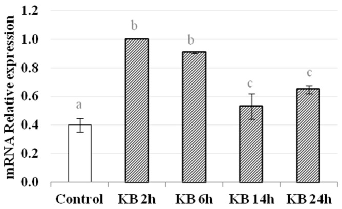 Figure 5